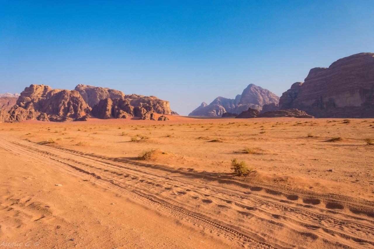 فندق وادي رمفي  Stars Life Camp-Tour المظهر الخارجي الصورة