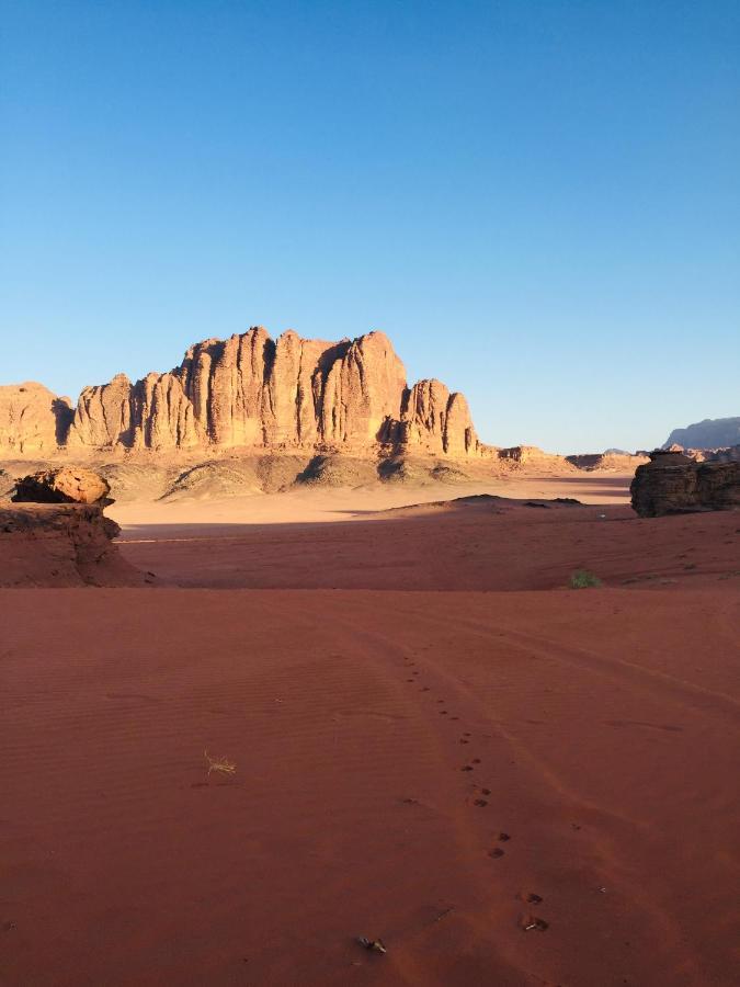 فندق وادي رمفي  Stars Life Camp-Tour المظهر الخارجي الصورة